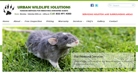 Wildlife Removal Company
