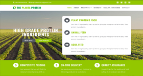 The Plants Protein